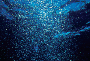 Screen shot 2013-09-29 at 6.04.43 PM