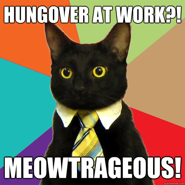 You may feel like this - meowtrageously drunk/hungover. Don't panic.